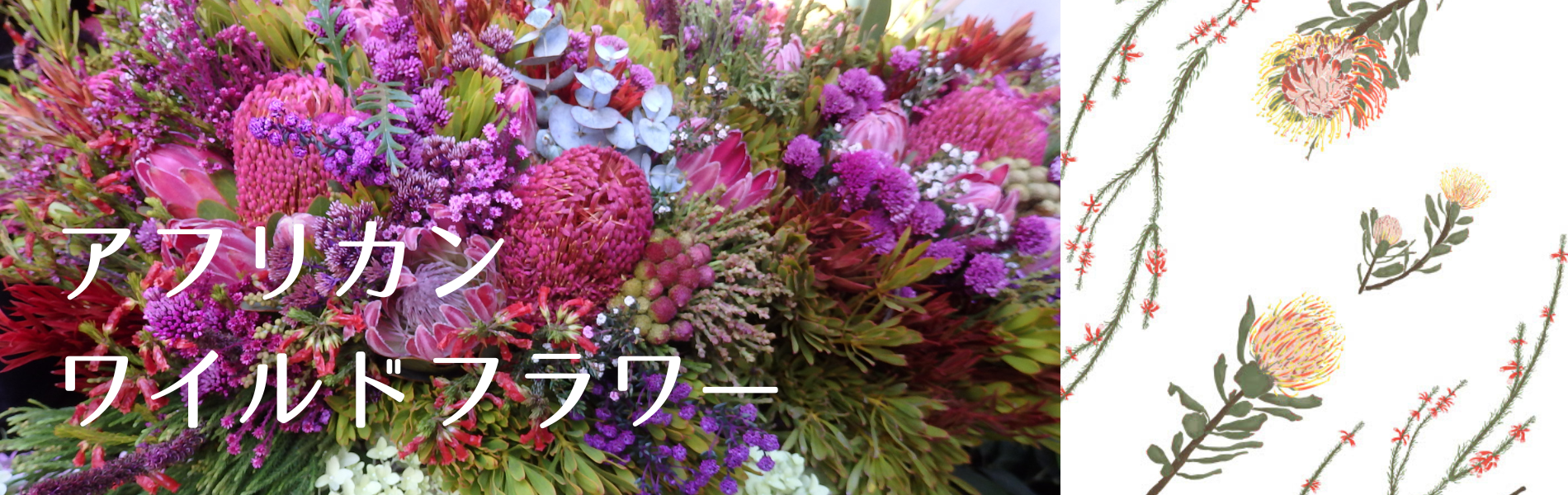 アフリカンワイルドフラワー布