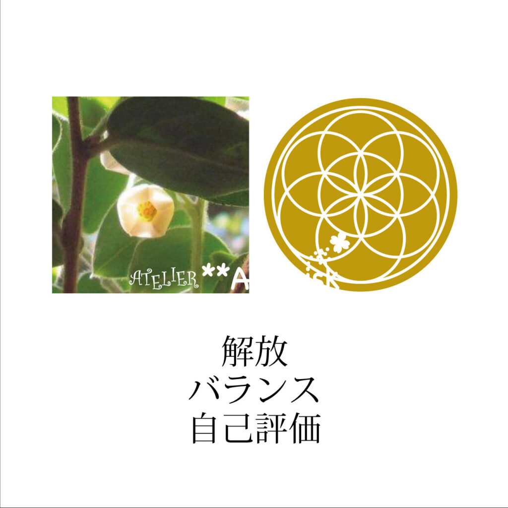 アフリカンツリー太古の森のミスト、自己認識の木ブラックバーク、キーワード、解放、バランス、自己評価
