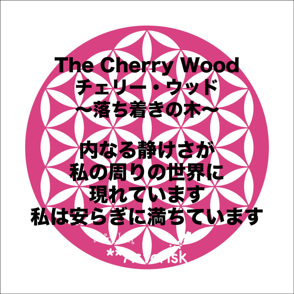 南アフリカ太古の森のフラワーエッセンス、アフリカンツリー太古の森のミスト、落ち着きの木チェリーウッドのアファメーション、内なる静けさが私の周りの世界に現れています、私は安らぎに満ちています