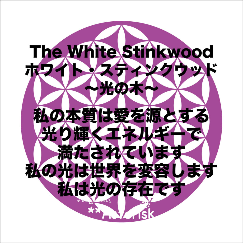 南アフリカ太古の森のフラワーエッセンス、アフリカンツリー太古の森のミスト、光の木ホワイトスティンクウッドのアファメーション、私の本質は愛を源とする光輝くエネルギーで満たされています。私の光は世界を変容します。私は光の存在です