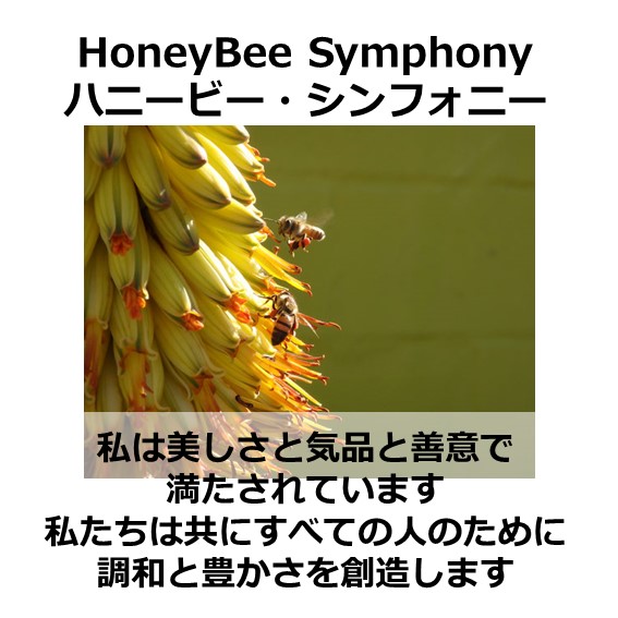 アフリカンツリー、風のエレメント、ハニービーシンフォニーミストのアファメーション、私は美しさと気品と善意で満たされています。私たちは共にすべての人のために調和と豊かさを創造します