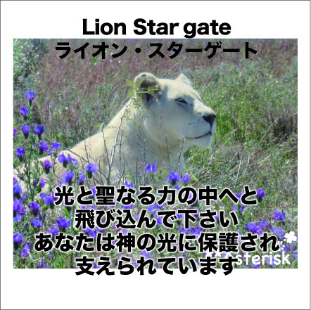 アフリカンツリーエレメントミスト、火のエレメント、ライオンスターゲートミスティカルミストのアファメーション、光と聖なる力の中へと飛び込んでください。あなたは神の光に保護され支えられています
