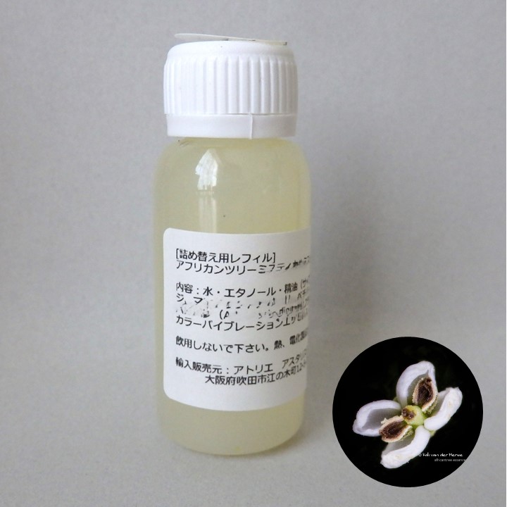 南アフリカ太古の森のフラワーエッセンス、アフリカンツリー太古の森のミスト、直感の木ファインアイアンウッド、詰め替え用レフィル