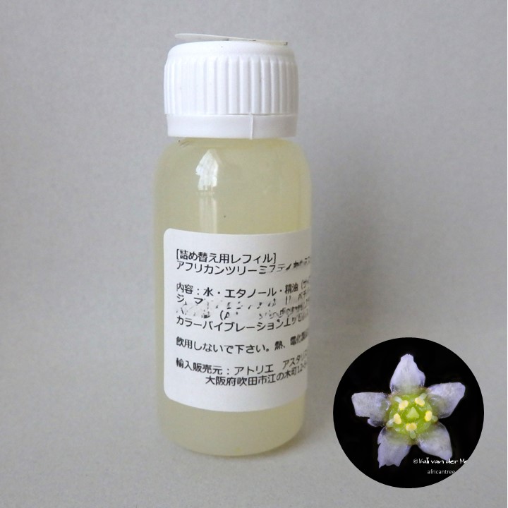 南アフリカ太古の森のフラワーエッセンス、アフリカンツリー太古の森のミスト、落ち着きの木チェリーウッドのレフィルボトル