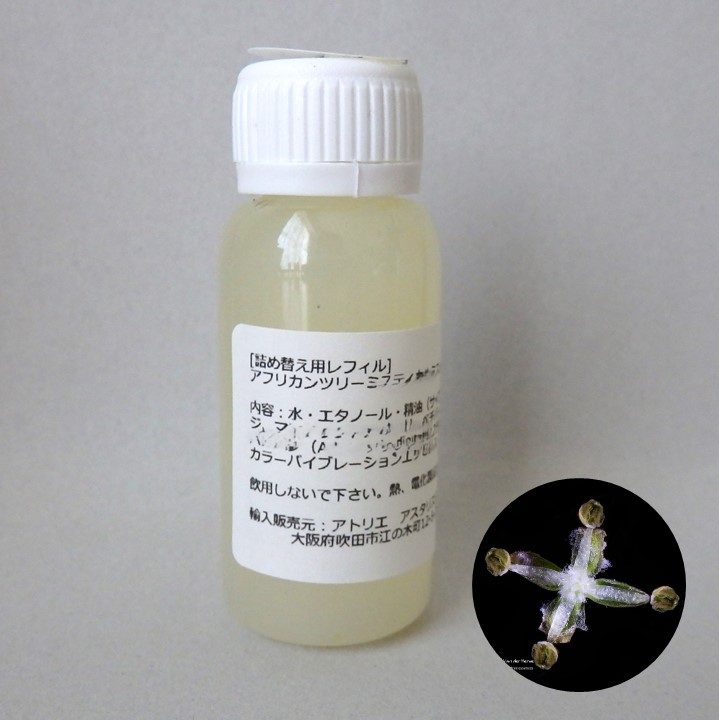 南アフリカ太古の森のフラワーエッセンス、アフリカンツリー太古の森のミスト、光の木ホワイトスティンクウッドのレフィルボトル