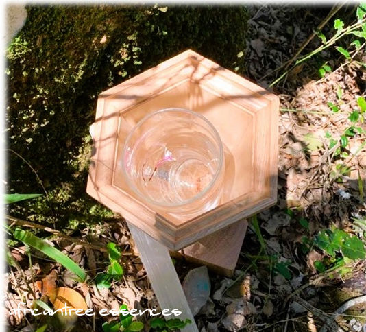 アフリカンツリー、風のエレメント、ハニービーシンフォニーミストを作っている様子