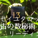 太古の数秘術リーディングのお知らせ